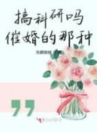 搞科研嗎催婚的那種