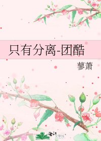 只有分离-团酷